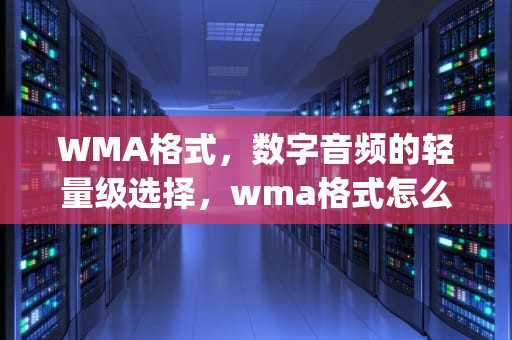 WMA格式，数字音频的轻量级选择，wma格式怎么转换mp3