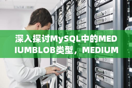 深入探讨MySQL中的MEDIUMBLOB类型，MEDIUMBLOB在idea是什么类型
