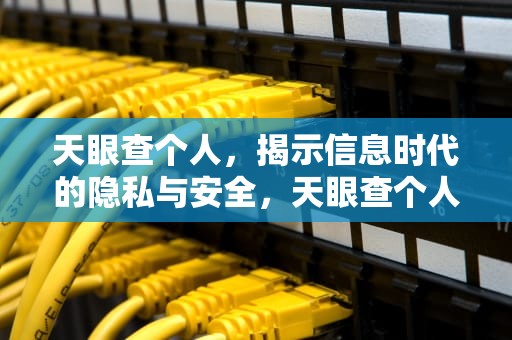 天眼查个人，揭示信息时代的隐私与安全，天眼查个人信息查询