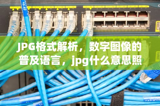 JPG格式解析，数字图像的普及语言，jpg什么意思照片