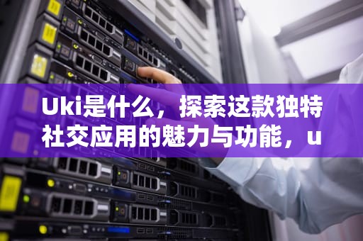 Uki是什么，探索这款独特社交应用的魅力与功能，uki是什么软件