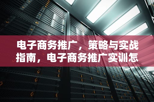 电子商务推广，策略与实战指南，电子商务推广实训怎么做