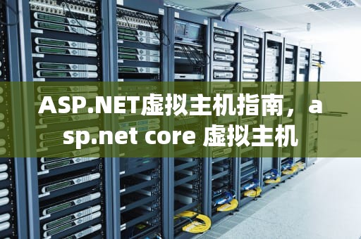 ASP.NET虚拟主机指南，asp.net core 虚拟主机