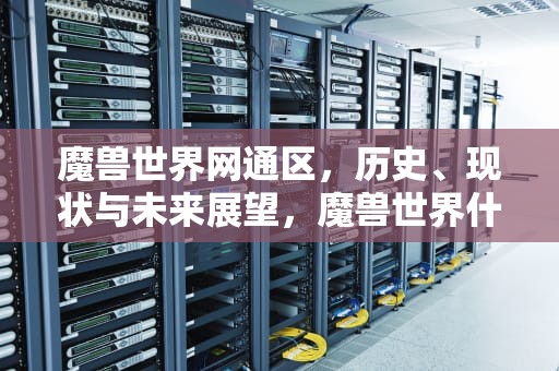 魔兽世界网通区，历史、现状与未来展望，魔兽世界什么区
