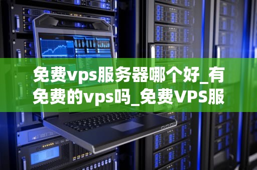 免费vps服务器哪个好_有免费的vps吗_免费VPS服务器的选择与比较