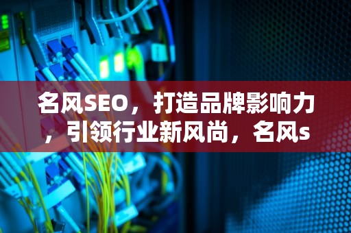 名风SEO，打造品牌影响力，引领行业新风尚，名风seo软件