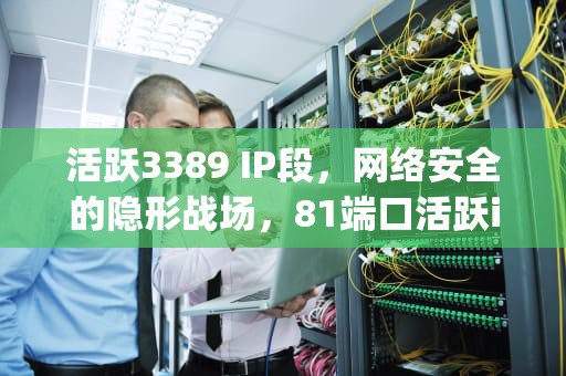活跃3389 IP段，网络安全的隐形战场，81端口活跃ip段