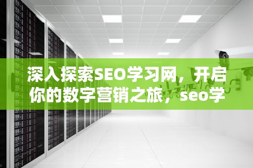 深入探索SEO学习网，开启你的数字营销之旅，seo学堂