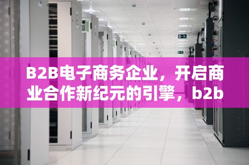 B2B电子商务企业，开启商业合作新纪元的引擎，b2b电子商务企业是如何诚信