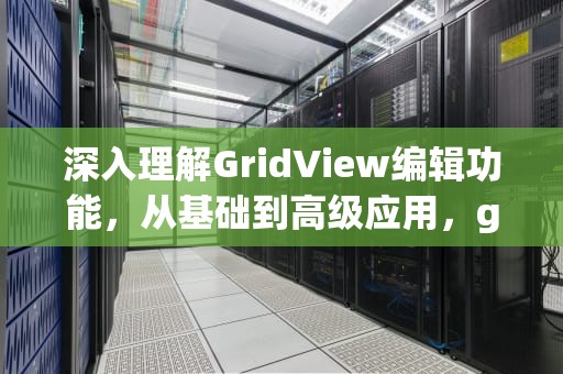 深入理解GridView编辑功能，从基础到高级应用，gridview编辑功能