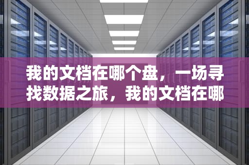 我的文档在哪个盘，一场寻找数据之旅，我的文档在哪个盘里