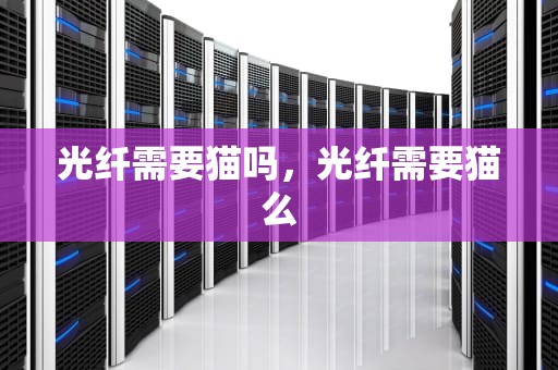 光纤需要猫吗，光纤需要猫么