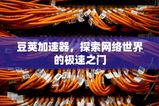 豆荚加速器，探索网络世界的极速之门