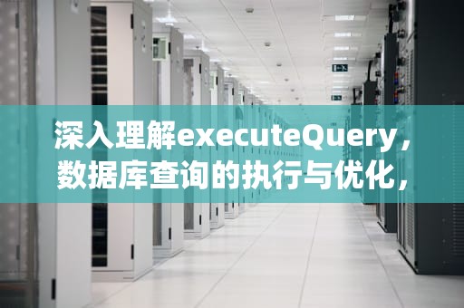 深入理解executeQuery，数据库查询的执行与优化，executeQuery