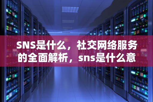 SNS是什么，社交网络服务的全面解析，sns是什么意思呢