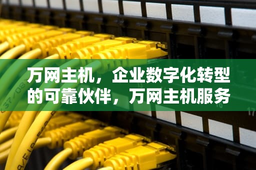 万网主机，企业数字化转型的可靠伙伴，万网主机服务独享系列主机适用人群