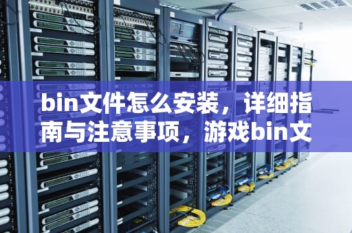 bin文件怎么安装，详细指南与注意事项，游戏bin文件怎么安装