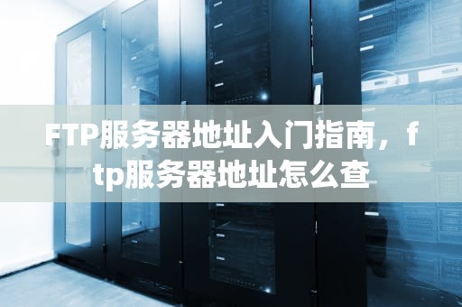 FTP服务器地址入门指南，ftp服务器地址怎么查