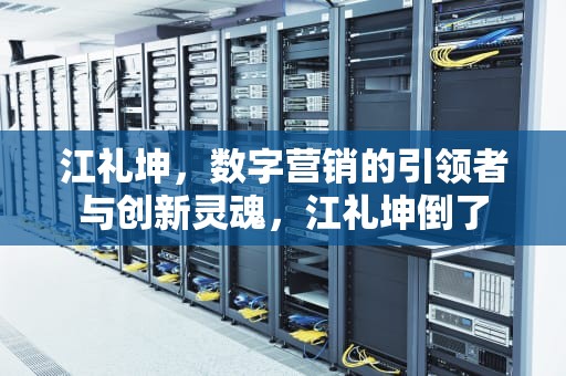 江礼坤，数字营销的引领者与创新灵魂，江礼坤倒了
