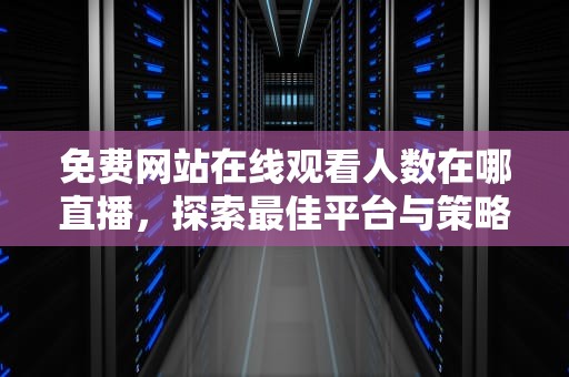 免费网站在线观看人数在哪直播，探索最佳平台与策略，免费网站在线观看人数在哪直播电影平原游击队