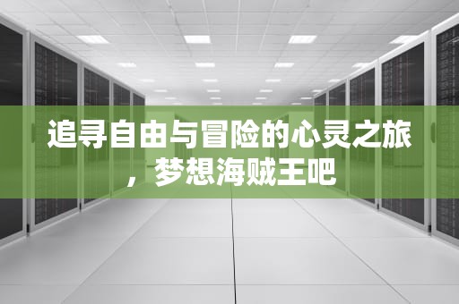 追寻自由与冒险的心灵之旅，梦想海贼王吧