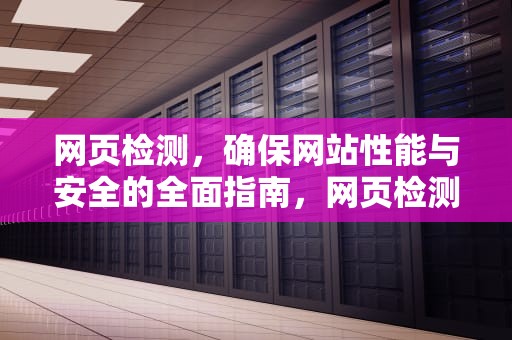 网页检测，确保网站性能与安全的全面指南，网页检测工具