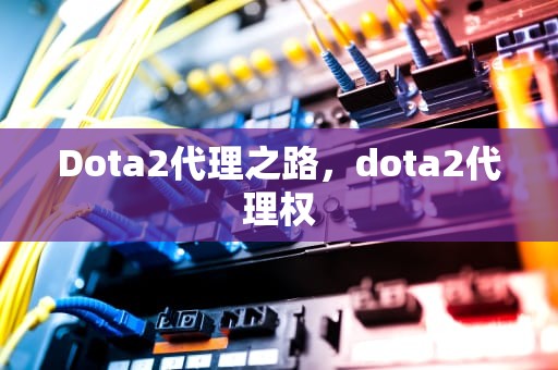 Dota2代理之路，dota2代理权