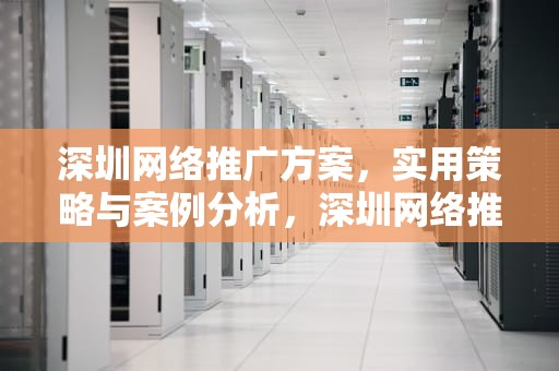 深圳网络推广方案，实用策略与案例分析，深圳网络推广方案公司