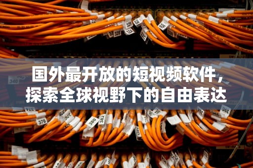 国外最开放的短视频软件，探索全球视野下的自由表达，国外最开放的短视频软件国外视频聊天网站