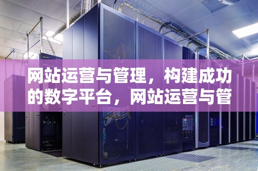 网站运营与管理，构建成功的数字平台，网站运营与管理的一个目的是