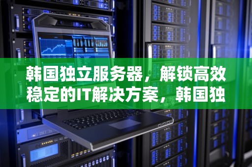 韩国独立服务器，解锁高效稳定的IT解决方案，韩国独立服务器价格表2023
