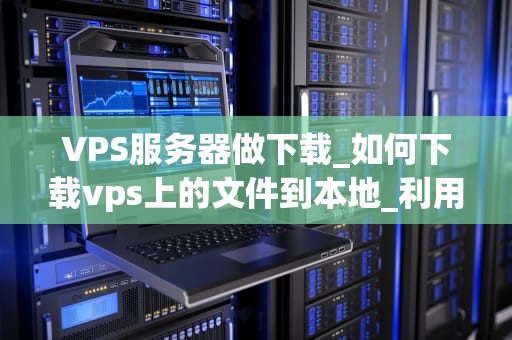 VPS服务器做下载_如何下载vps上的文件到本地_利用VPS服务器进行高效下载的全面指南