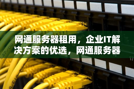 网通服务器租用，企业IT解决方案的优选，网通服务器租用多少钱