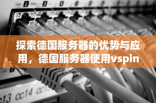 探索德国服务器的优势与应用，德国服务器使用vsping工具
