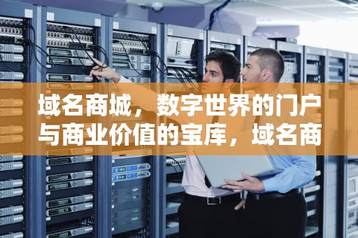 域名商城，数字世界的门户与商业价值的宝库，域名商城为什么那么贵