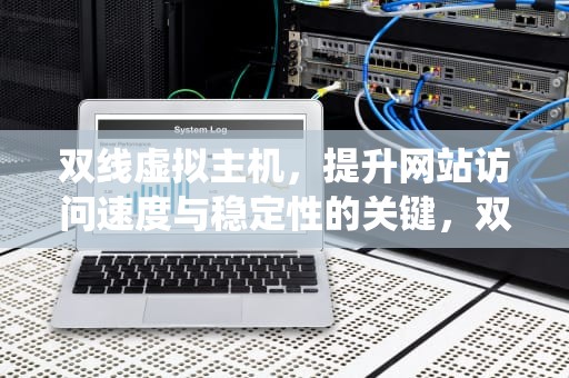 双线虚拟主机，提升网站访问速度与稳定性的关键，双线虚拟主机系统