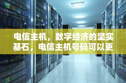 电信主机，数字经济的坚实基石，电信主机号码可以更换吗