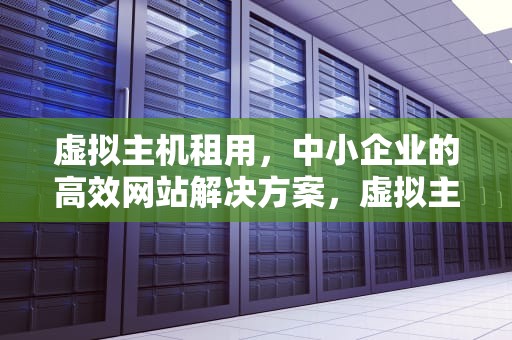 虚拟主机租用，中小企业的高效网站解决方案，虚拟主机租用情况