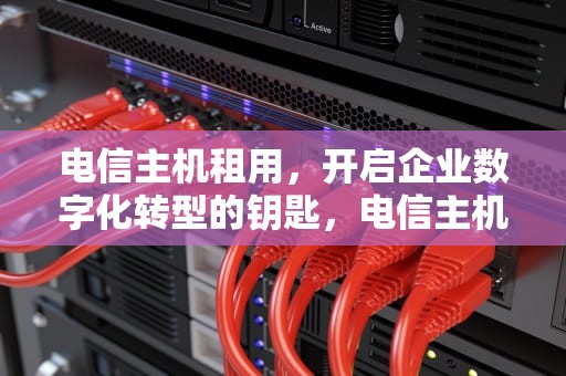 电信主机租用，开启企业数字化转型的钥匙，电信主机租用多少钱