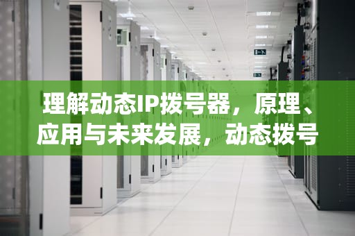 理解动态IP拨号器，原理、应用与未来发展，动态拨号ip地址
