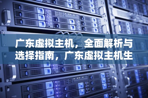 广东虚拟主机，全面解析与选择指南，广东虚拟主机生产厂家