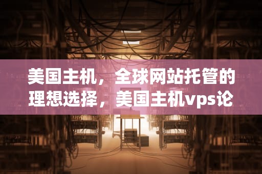 美国主机，全球网站托管的理想选择，美国主机vps论坛