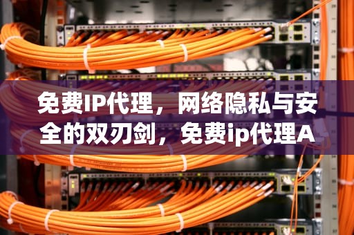 免费IP代理，网络隐私与安全的双刃剑，免费ip代理APP
