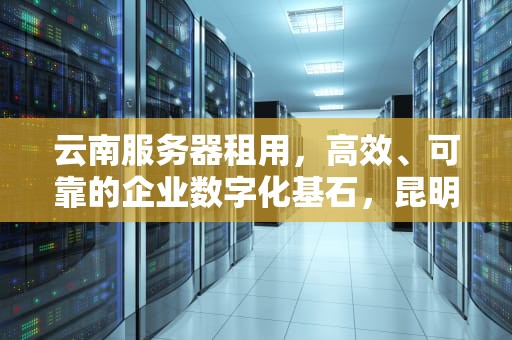 云南服务器租用，高效、可靠的企业数字化基石，昆明服务器租用