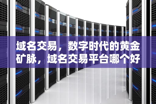 域名交易，数字时代的黄金矿脉，域名交易平台哪个好