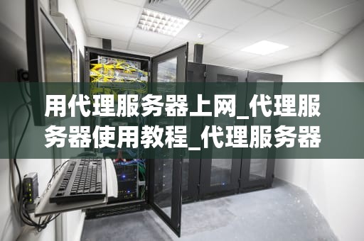 用代理服务器上网_代理服务器使用教程_代理服务器的工作原理与应用