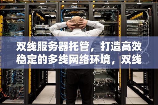 双线服务器托管，打造高效稳定的多线网络环境，双线服务器租用托管