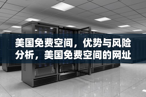 美国免费空间，优势与风险分析，美国免费空间的网址有多少人关注