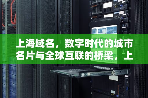 上海域名，数字时代的城市名片与全球互联的桥梁，上海域名是什么