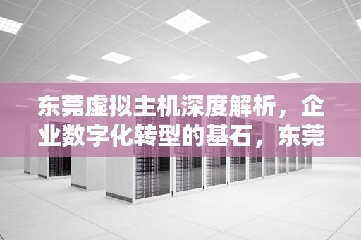 东莞虚拟主机深度解析，企业数字化转型的基石，东莞虚拟主机空间